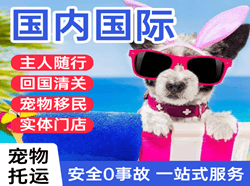 白山航空快递国际宠物托运 【国